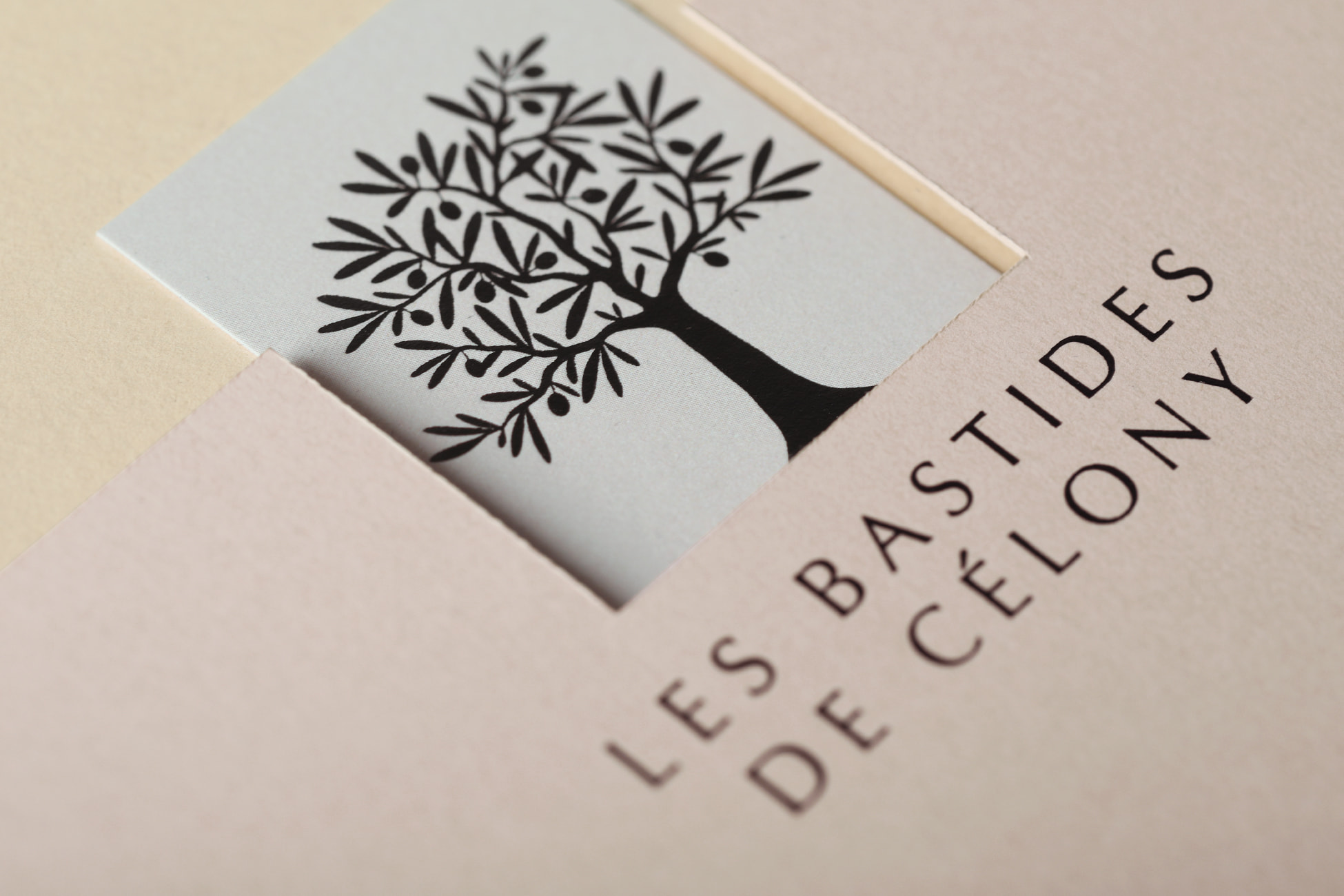 Brochure Les Bastides de Célony